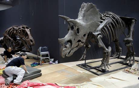 Japan using Saudi-made coral skeletons from expo for sea conservation