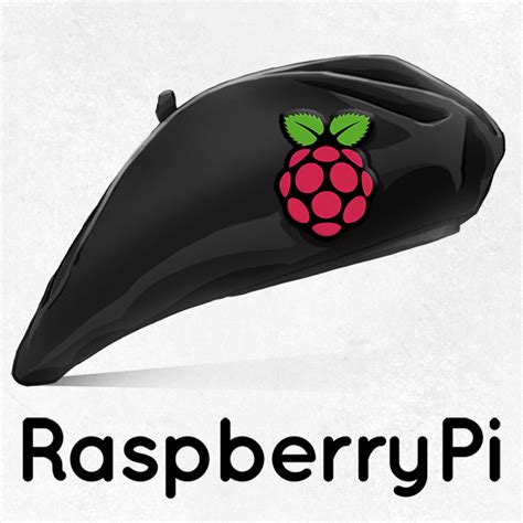 Image result for Raspberry Pi Wearable Computer