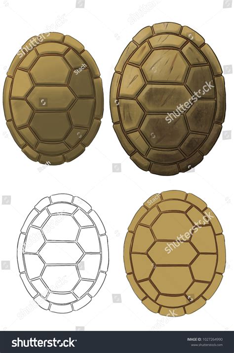 Image result for Ninja Turtle Shell Back Animation