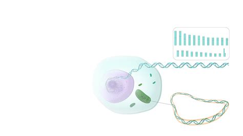 Genome Explained 的图像结果