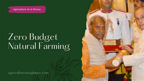 Zero Budget Natural Farming | ZBNF In India