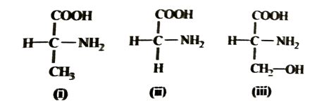 Identify the amino acids given below and select the correct option.