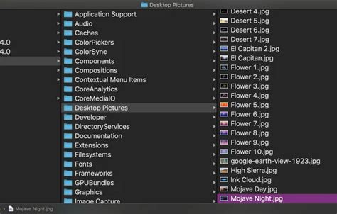 Mac File Explorer 的图像结果