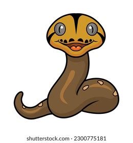 Image result for Reticulated Python Cute