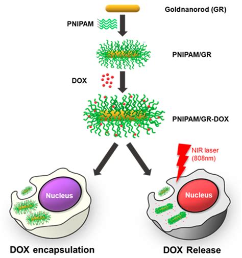 NIR Laser-Responsive PNIPAM and Gold Nanorod Composites for the ...