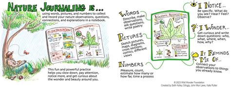 Vegetable Dissection! - Nature Journal Club, Middleton Public Library ...