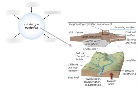 Evolutionary Landscape 的图像结果