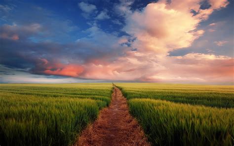 HD Wallpapers 的图像结果