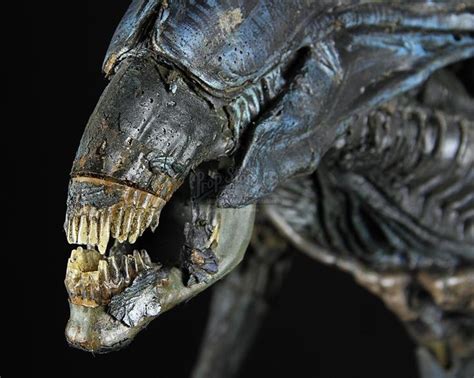 Alien Queen Game 的图像结果