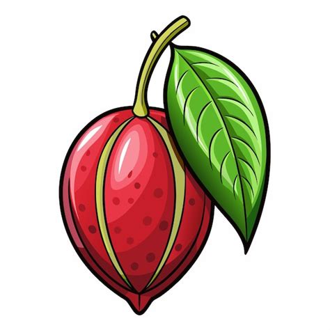 Colorful sorrel fruit vector drawing | Premium AI-generated vector