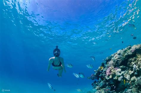 Ras Mohammed Park and Magic Lake Day Tour from Sharm El Sheikh - Klook ...