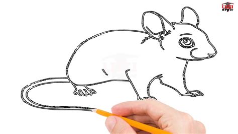 Image result for Simple Mouse Drawing