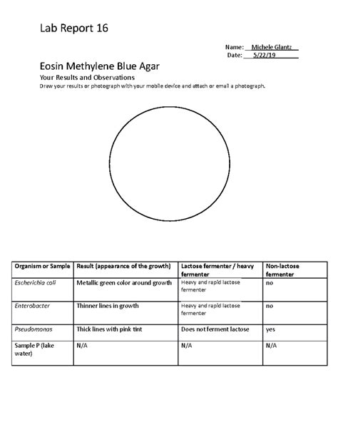 Lab Report 16: Analysis of Eosin Methylene Blue Agar Results - Studocu