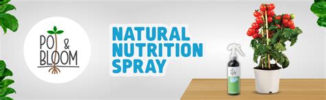 Pot And Bloom Natural Nutrition Spray 250ml | Plant Liquid Fertilizer ...
