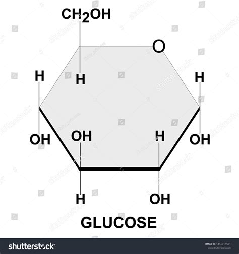 Structural Chemical Formula Model Glucose Stock Vector (Royalty Free ...