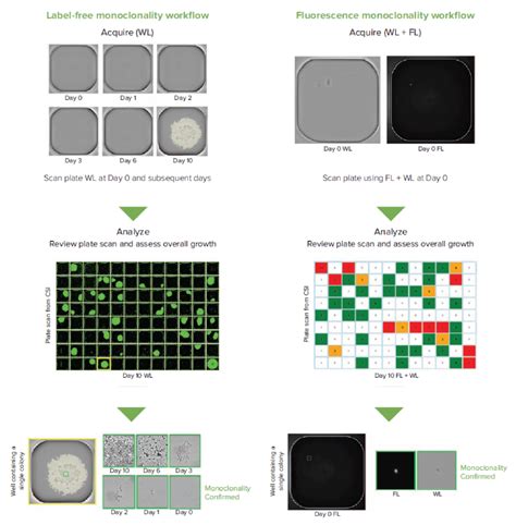 Gene Editing Machine 的图像结果