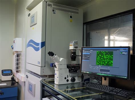 Cell culture facilities | Official website of Jawaharlal Nehru Centre ...