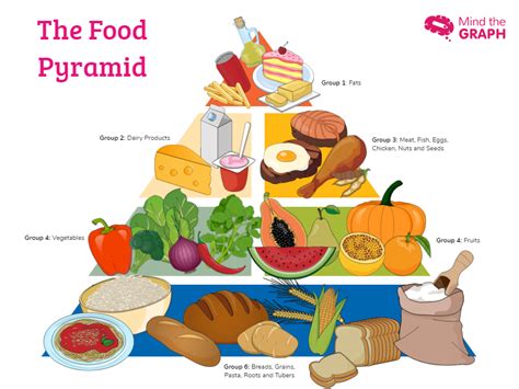 Image result for Food Pyramid Menu Pattern