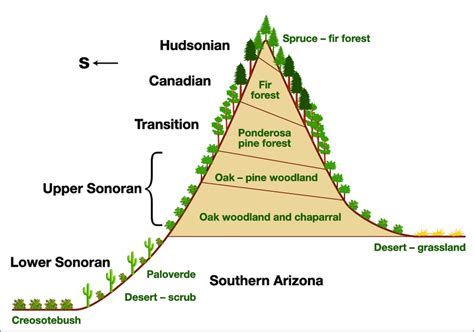Image result for Arable Land Gradient
