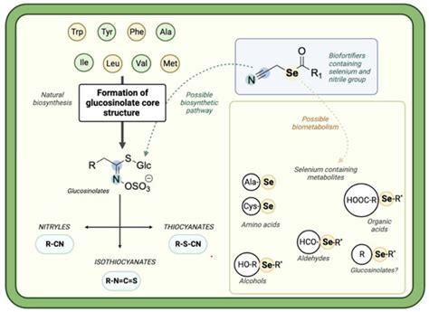 Relationships between Molecular Characteristics of Novel Organic ...