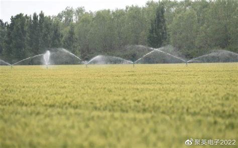 农业灌溉设备高清图片下载-正版图片600184252-摄图网
