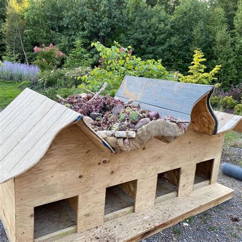 20 Creative Duck House Ideas for a Stunning Backyard