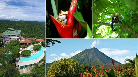 GREEN TRAVEL COSTA RICA (2026) All You Need to Know BEFORE You Go (with ...