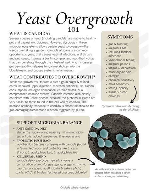 Stevia And Yeast Overgrowth at Debra Schaper blog