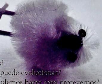 Buy La Gripe Aviar/the Avian Flu Book Online at Low Prices in India ...