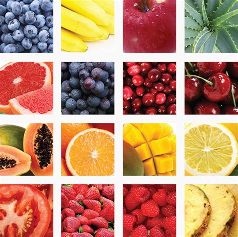 Fruits Powders & Extracts Manufacturer & Producer in India