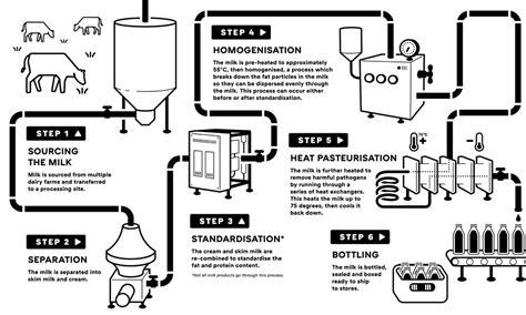 Image result for How Is Milk Processed Step by Step