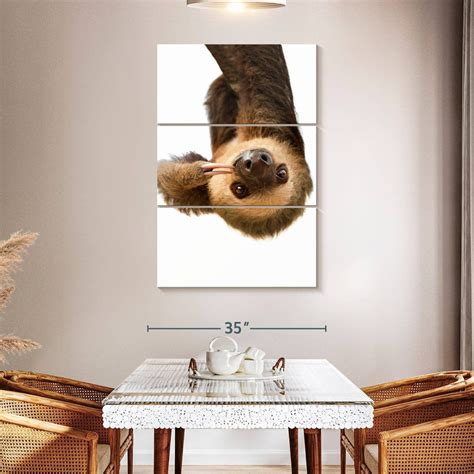 Image result for Silly Sloth