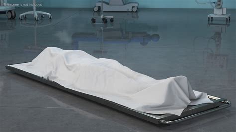 Dead Body Of Woman Covered with White Sheet 3D model - TurboSquid 1977371