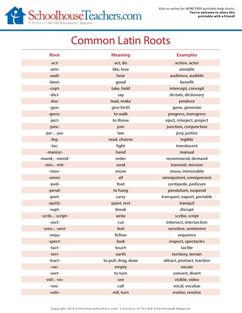 Latin roots, Latin root words, Root words
