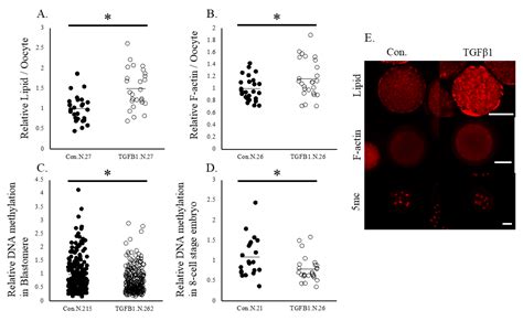 Beneficial Effect of Polysaccharide Gel Made of Xanthan Gum and Locust ...