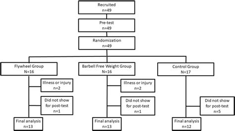 Image result for Random Allocation