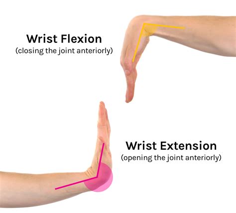 Flexion & Extension: In Detail - Tom Morrison