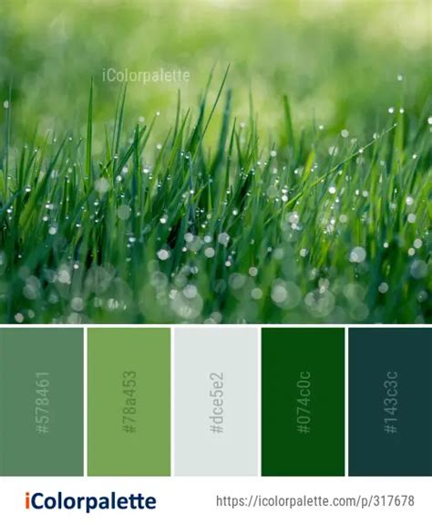 Nature Color 的图像结果