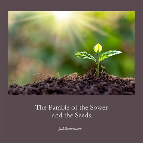 The Parable of the Sower and the Seed - Jacki Kellum
