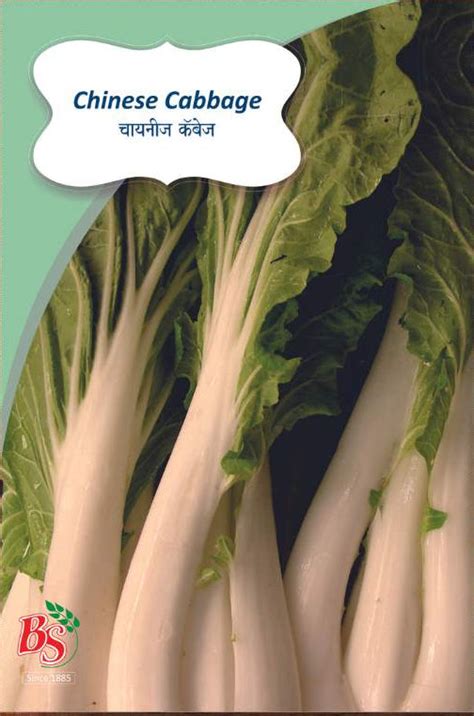 Buy Chinese Cabbage Seeds Online – Bombay Seeds