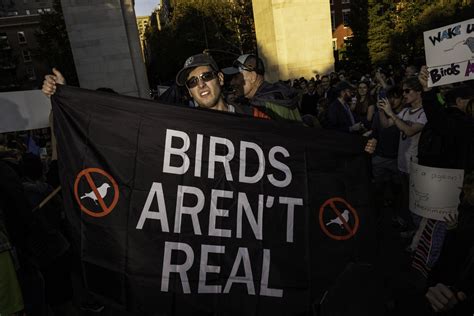 Inside bizarre Birds Aren’t Real conspiracy group 'fighting lunacy with ...