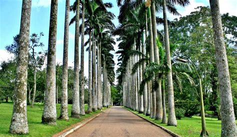 Aburi Botanical Gardens | GhanaTRVL