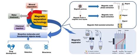 Magnetic Technologies and Green Solvents in Extraction and Separation ...
