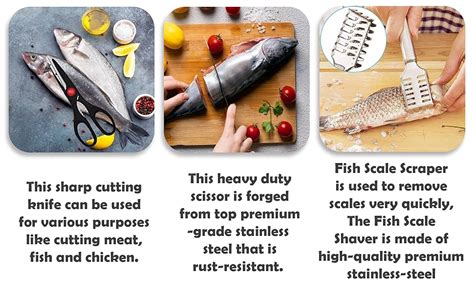 Buy MADHULI Stainless Steel Kitchen Scissor, Fish Scale Scraper with ...