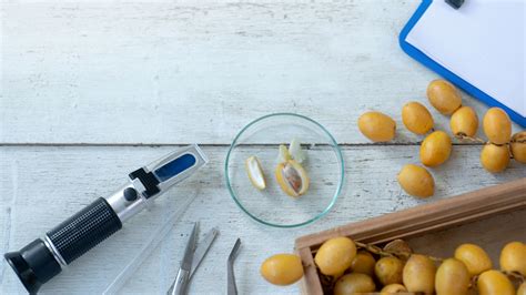 Understanding Refractometers: Shedding Light on their Magical Measurem ...