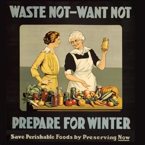 Image result for WoW Waste Not Want Not