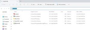 5 Methods to Clear the Recycle Bin in Windows 11 - Tech Hyme