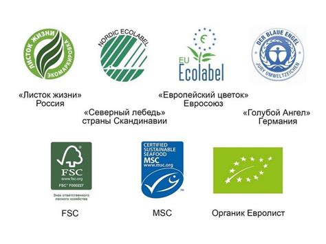 Как найти на полке товар с экомаркировкой и зачем его искать?