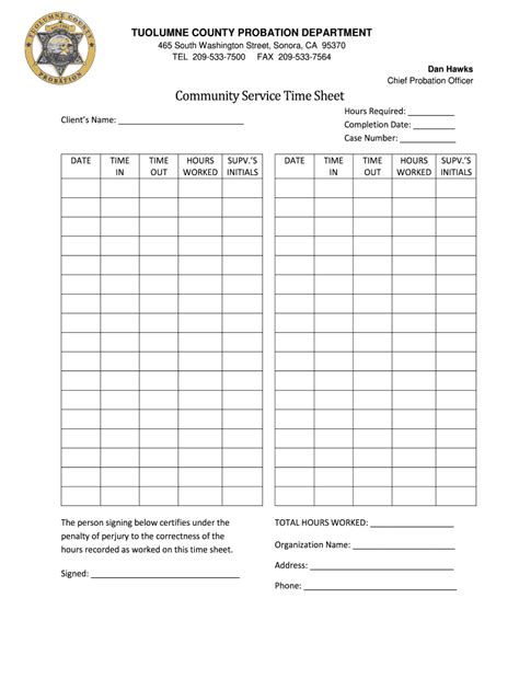 2020-2026 Form CA Community Service Time Sheet - Tuolumne County ...
