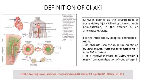 Gabriele Luigi Gasparini - Contrast-associated kidney injury – preventive strategies | PPT
